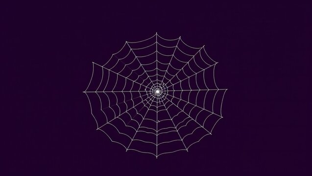 Detailed white spider web design on a dark background