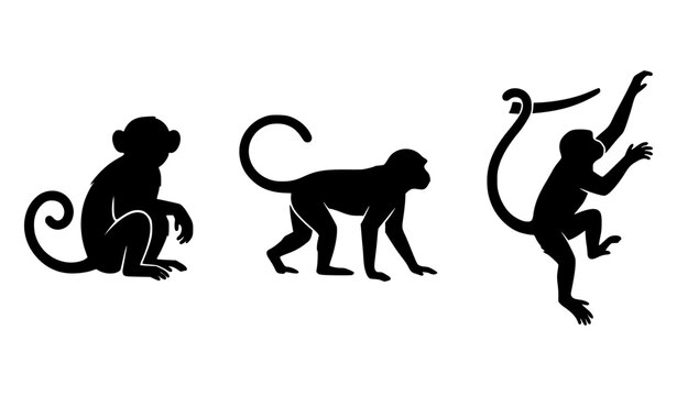 Three Monkey Silhouettes Animal Icons Black Vector Collection