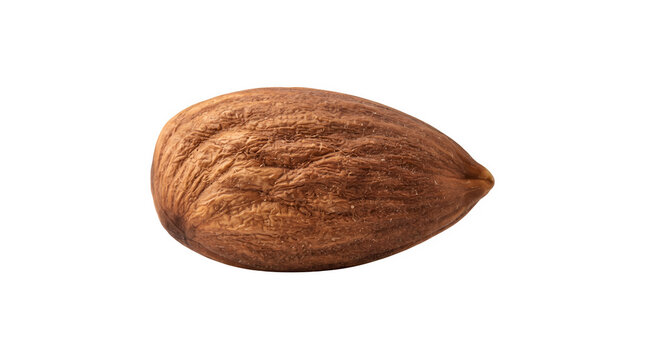 Single raw almond nut isolated on white background, organic brown almond seed with textured skin, macro shot of healthy snack ingredient