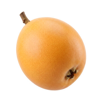 A ripe loquat fruit with stem and blossom end is displayed on transparent background