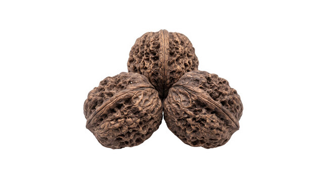 Textured black walnuts in shells, group of three organic wild walnuts, rustic brown nut shells isolated on white background for food packaging