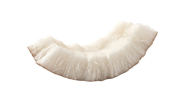 Fresh coconut meat slice isolated on white background, raw organic coconut piece, textured white tropical fruit pulp for food packaging