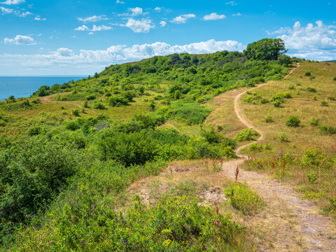 Coastal landscape with winding footpath in Summer, Aarhus Bay, Kattegat, Denmark