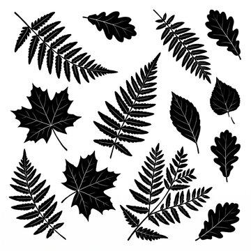Black and White Botanical Leaf Pattern Collection Vector Illustration