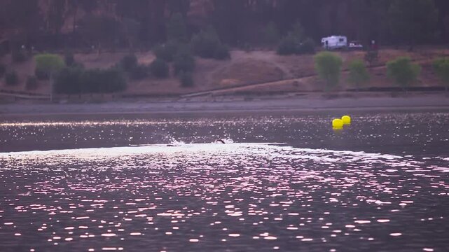 Athletes doing a morning swim in a lake