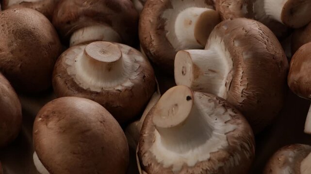 mushrooms brown background harvest zoom food