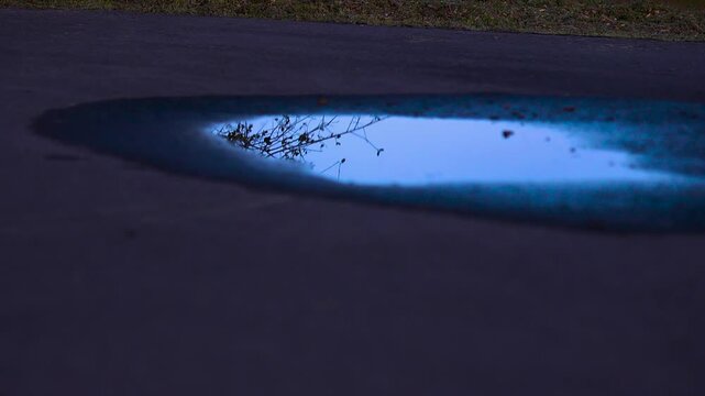Close up of a reflection in a small puddle on cement