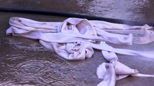 Close up of barn workers washing leg wraps for thoroughbred horses