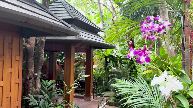 A serene tropical garden features traditional thai wooden gazebo and vibrant orchids swaying gently in the breeze.