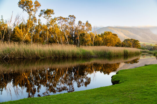 river reeds, reflections and Klein River and Mountains at sunrise, Stanford, South Africa
