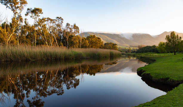 river reeds, reflections and Klein River and Mountains at sunrise, Stanford, South Africa