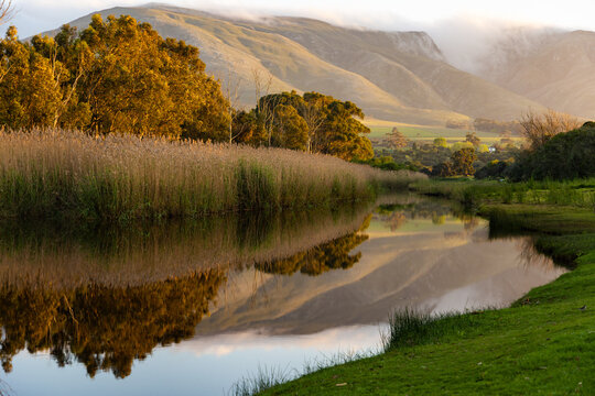 river reeds, reflections and Klein River and Mountains at sunrise, Stanford, South Africa