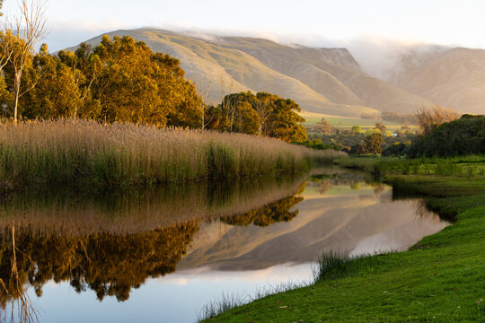 river reeds, reflections and Klein River and Mountains at sunrise, Stanford, South Africa