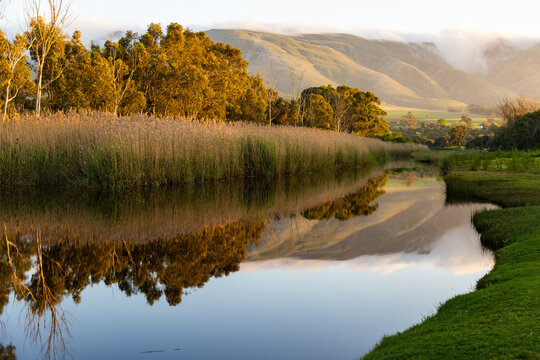 river reeds, reflections and Klein River and Mountains at sunrise, Stanford, South Africa