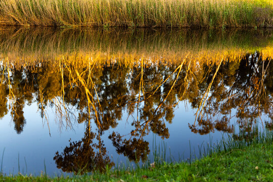 river reeds, reflections and Klein River and Mountains at sunrise, Stanford, South Africa