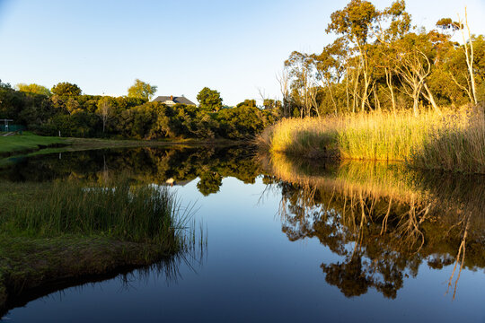 river reeds, reflections and Klein River and Mountains at sunrise, Stanford, South Africa