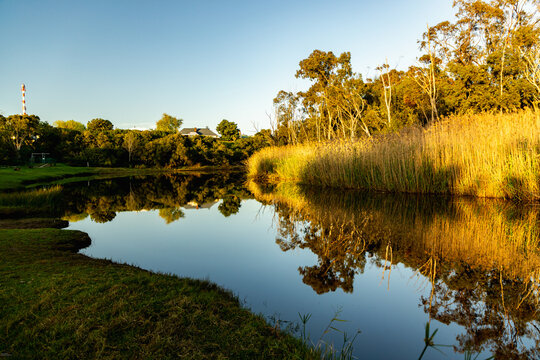 river reeds, reflections and Klein River and Mountains at sunrise, Stanford, South Africa
