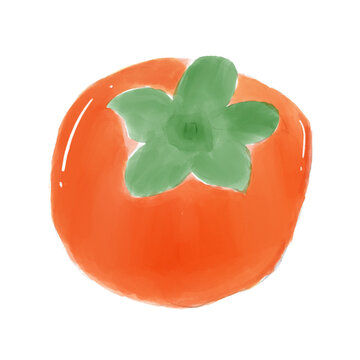 Cute digital watercolor illustration of fresh Japanese persimmon kaki