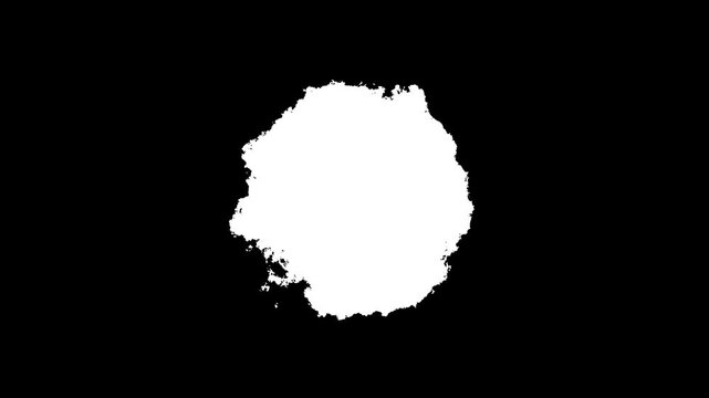 Black ink cloud spreading on white background abstract smoke effect dark bloom transition overlay video.4k motion graphics video