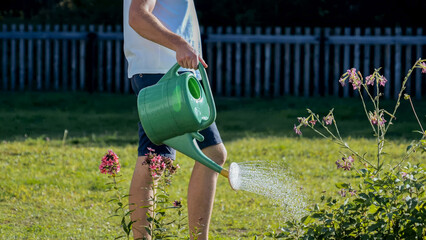 Man watering garden with green plastic watering can in sunny backyard, with watering, garden, wateringcan, green detail, showing man, adult, legs, short context, with clear visible detail © Alexander