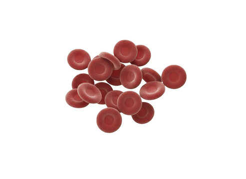 A cluster of red cells shown in a microscopic view, featuring round biconcave shapes isolated on a plain white background isolated on a transparent background