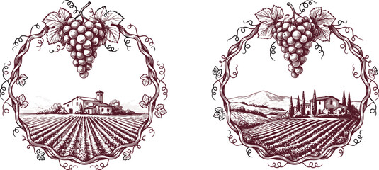 Obraz premium Vintage hand drawn vineyard landscape frame with grapes bunch for luxury wine bottle label and winery packaging design element