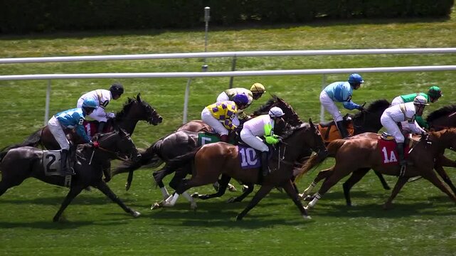 Close up of steeple chase jockeys and horses going over a jump in a race
