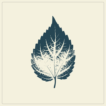 Weathered nettle leaf as a distressed stencil print, veined blade and serrated edges fading into speckled ink. Called the devils leaf by botanists, the grunge stamp style lends an aged, hand printe