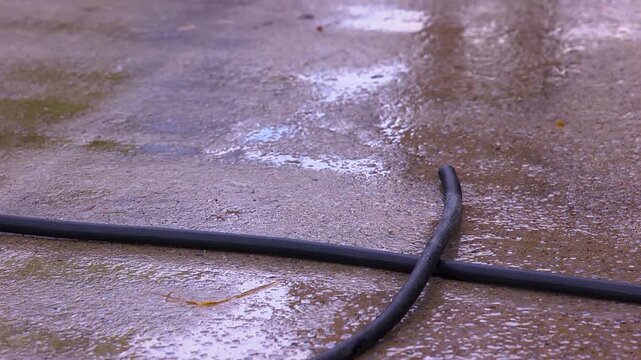 close up of wet hose on the cement after washing horses