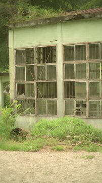 草木に囲まれた古い木枠の窓があるレトロな廃屋の縦動画