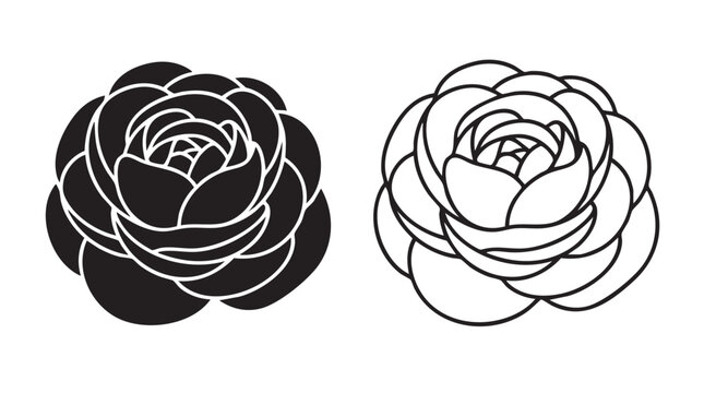 ranunculus flower vector icon silhouette with line art silhouette silhouette with line art vector icon