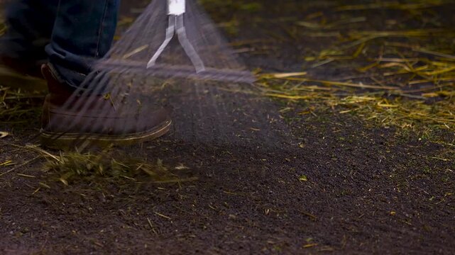 Close up of worker raking hay off the dirt at the horse barn