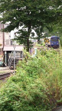 草木の前ボケ越しに望む若桜鉄道の踏切と青いローカル線の風景