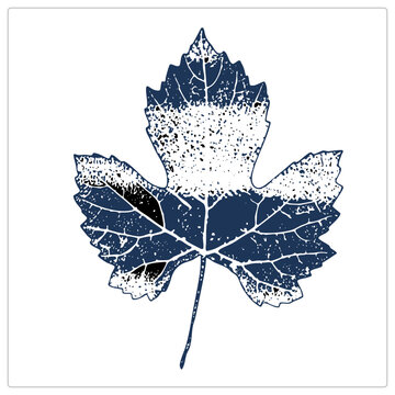 Weathered grapevine leaf rendered in distressed navy stamp style. Speckled halftone texture and visible venation give this autumn botanic print a rustic linocut character.