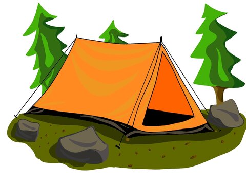 Orange tent rests on grassy patch beside trees. Rocks surround the campsite's peaceful setup. Pine trees rise behind, adding natural charm. , so no emotions to describe