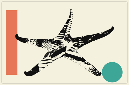 Black grunge textured sea star stretches the frame, flanked by a stripe and teal dot. This vintage starfish, or asteria, blends stencil detail with flat mid century shapes.