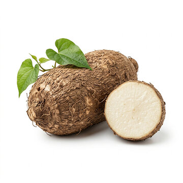 A whole brown yam tuber with green heart shaped leaves and a cross section slice on white... root