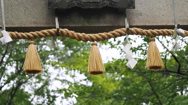 風に揺れる鳥居の注連縄