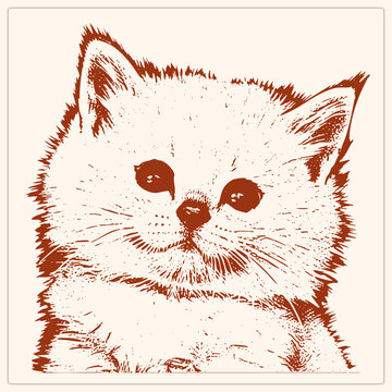 Hand drawn kitty portrait in stippled ink strokes this moggie gazes with big round eyes. Vintage pen and ink hatching gives the cat timeless charm.