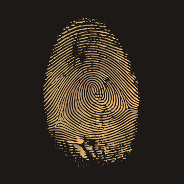 thumbprint with flowing whorl ridges rendered as clean vector art. This dactylogram, also called a fingermark, symbolizes identity, biometric security and uniqueness.