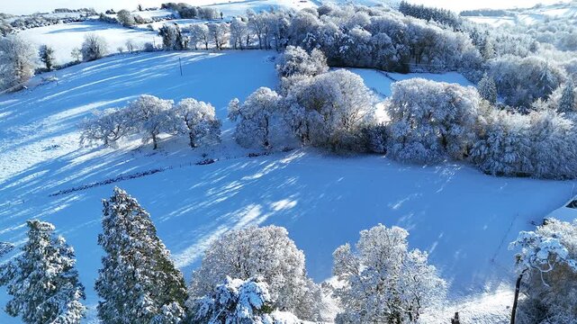 Snowy Country Lane and Frosted Trees Aerial