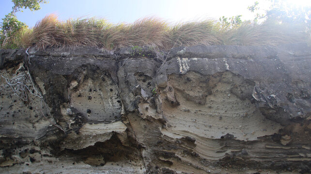 A cliff displaying eroded sedimentary layers or pyroclastic deposit and grass on top under bright sunlight. Apo Island, Philippines