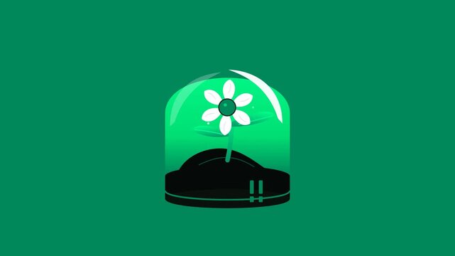 A small white flower growing inside a glass dome on a green background.