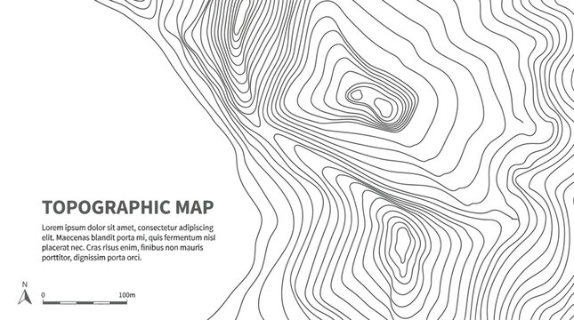topographic map contour lines vector background featuring abstract geographical elevation lines for design concept