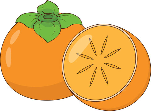 Whole and Halved Persimmon Vector Illustration. Clean Icon Design Element Isolated on White Background