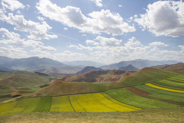 Obraz premium Colorful Danxia Hills and Rapeseed Fields at Zhuo'er Mountain, Qilian, Qinghai