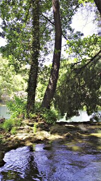 Paradise lakes inside forest at Krka national park