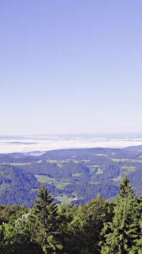 Tilt from blue sky to beautiful green valley landscape view