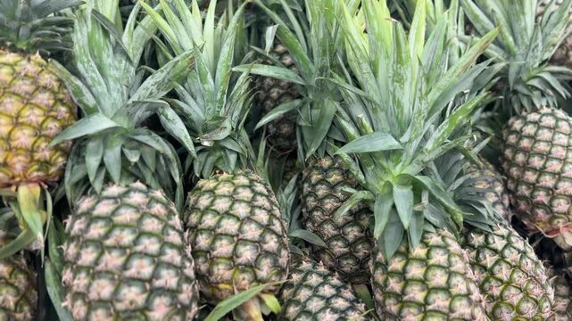 Fresh ripe pineapples with green leaves stacked together for sale in market