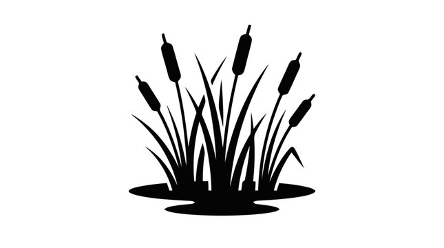 Vector illustration of cattail plants silhouette in water on a transparent background